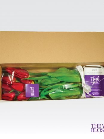 The First-Bloom box