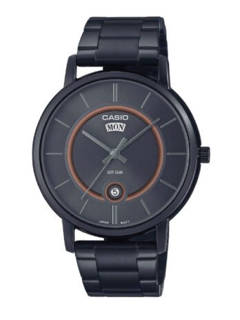 100.200.118 CASIO