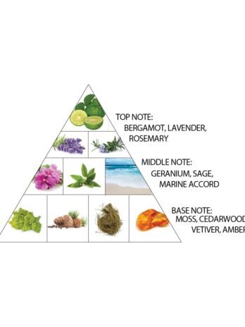 Haramain Amber Oud Carbon Edition 100ml